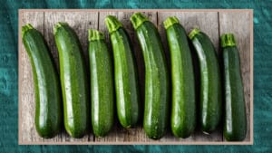 Everything you need to know about courgettes