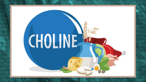 Everything you need to know about choline