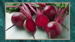 Everything You Need to Know About Beetroot